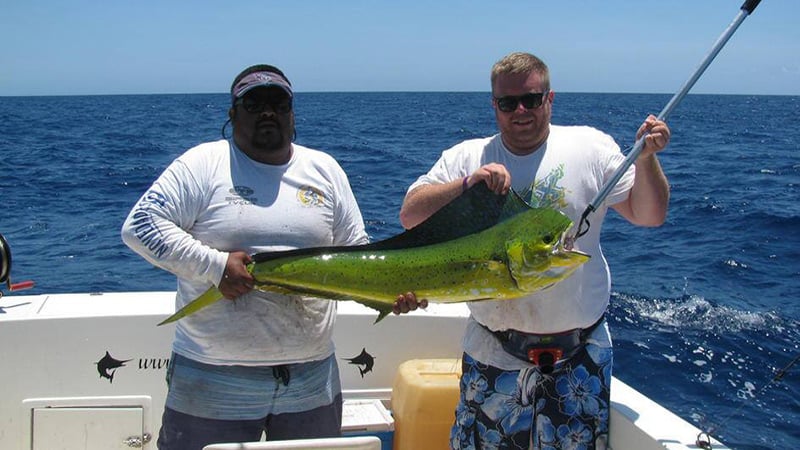 Mahi-Mahi el Dorado